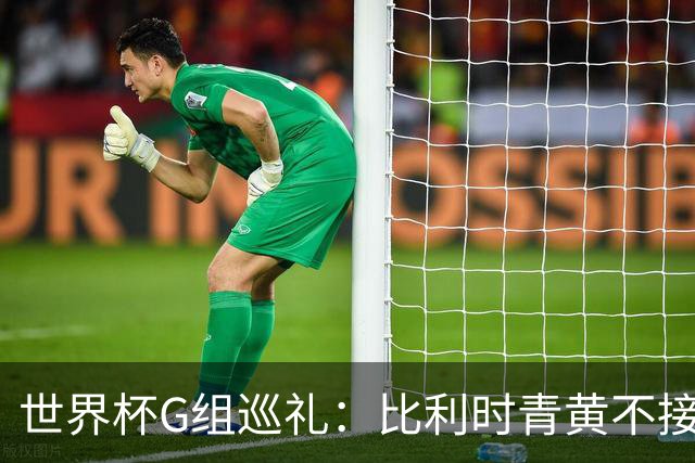 世界杯G组巡礼：比利时青黄不接 伊朗赴美参赛风波不断